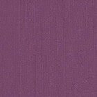 Sanremo, сливовый